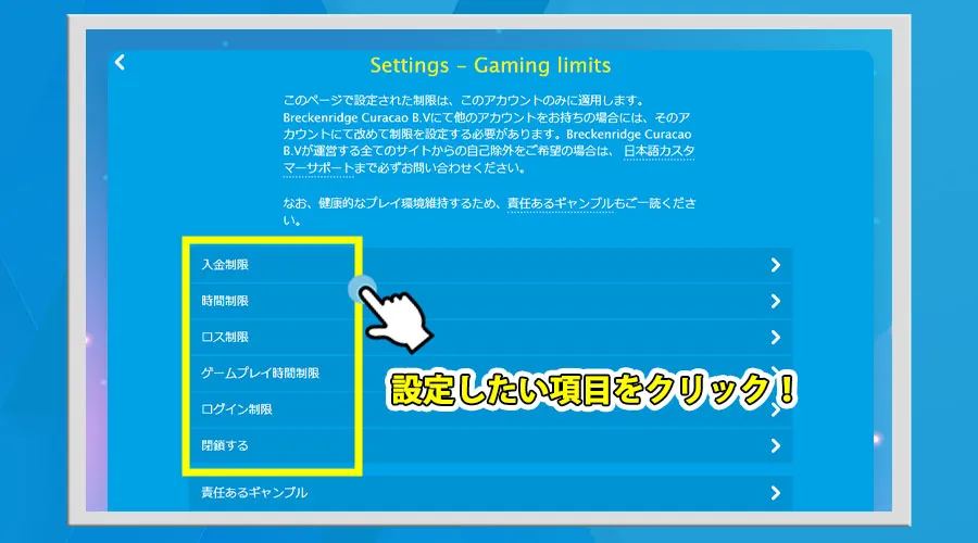 自己規制したい規制項目を選んで決定する